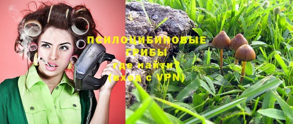 амф Балахна