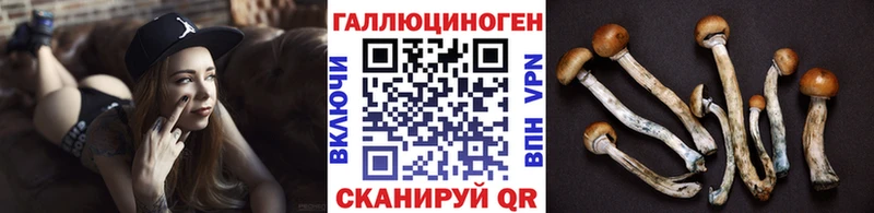 сколько стоит  Светогорск  Галлюциногенные грибы GOLDEN TEACHER 