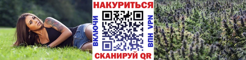 Конопля конопля  купить закладку  Светогорск 